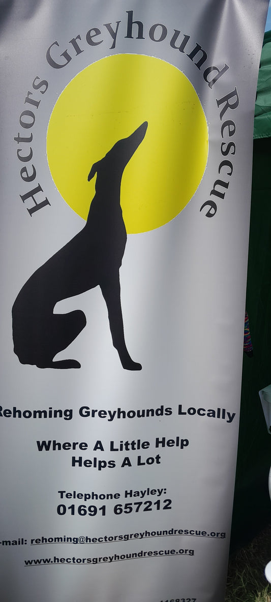 Hectors Greyhound Rescue Dog Show.