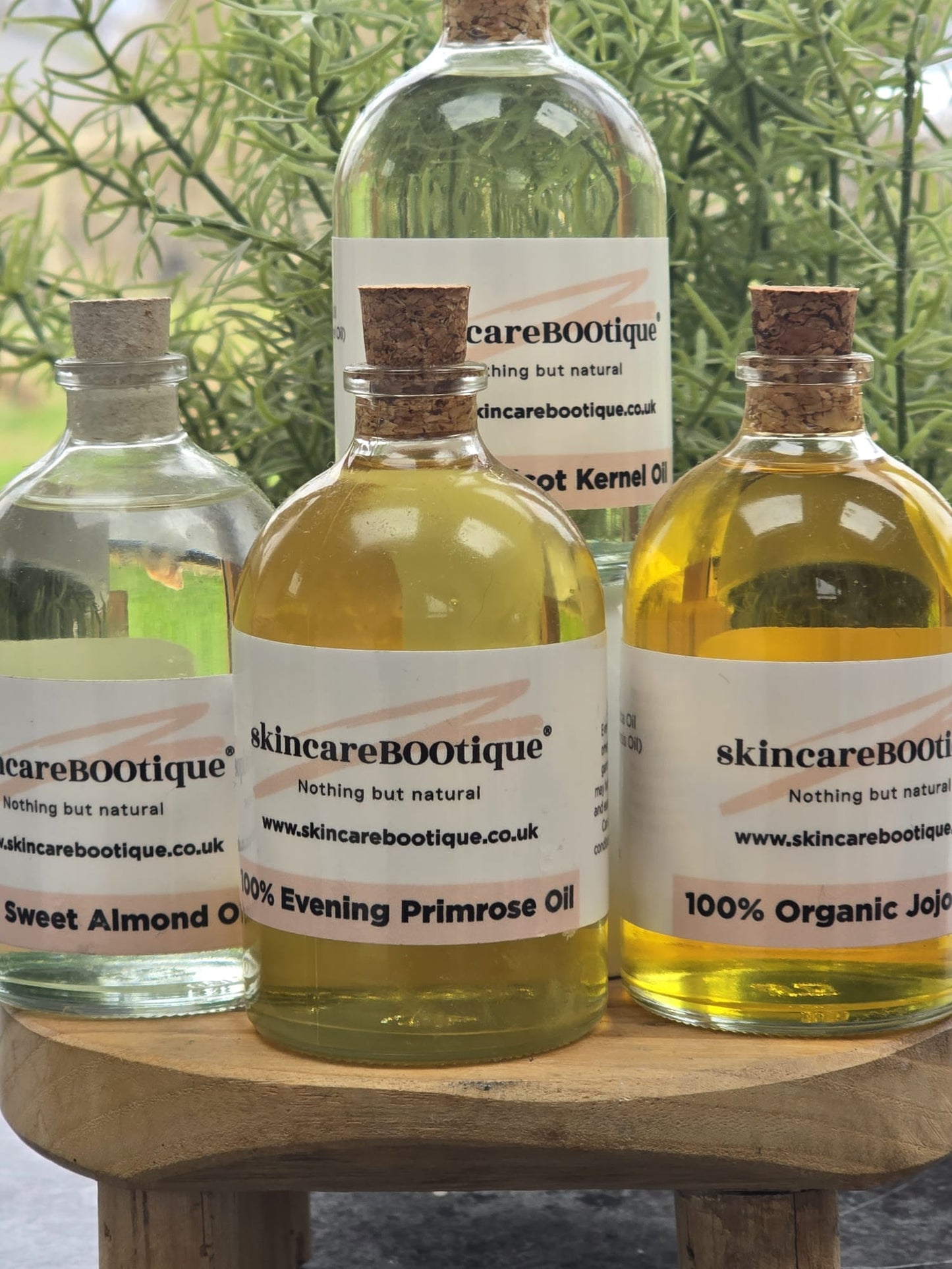 Apricot Kernel Oil