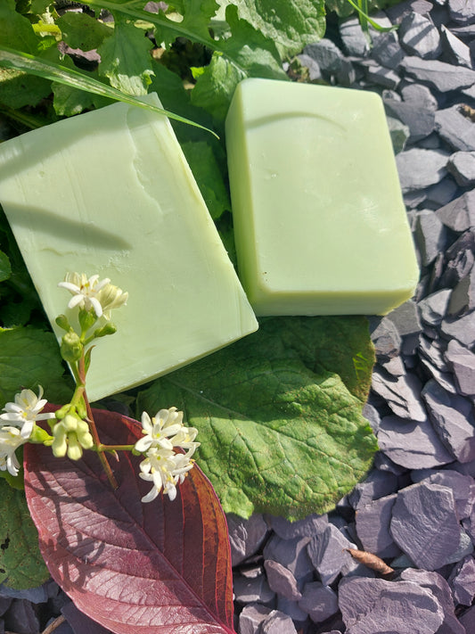 Mango Butter and Lime essential Oil Highly Moisturising Handmade soap Rich Lather  